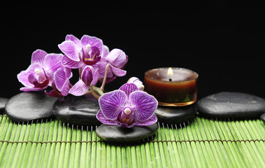 Obraz na płótnie Canvas Oddział orchidea z świecy i orchidea z czarnego kamienia