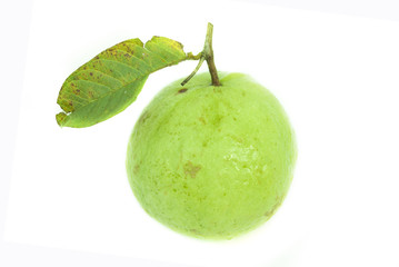 Guavas with leaves