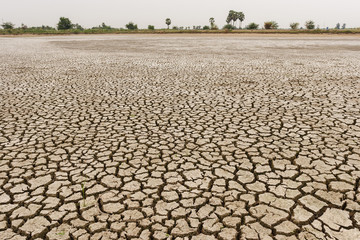 Dry cracked earth