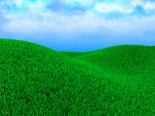 Obraz na płótnie Canvas zielona łąka