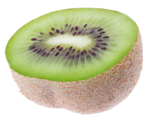 One fresh green kiwi fruit