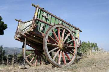 Obraz premium Spanish Cart