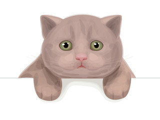 Vector of cute kitten hiding by blank.