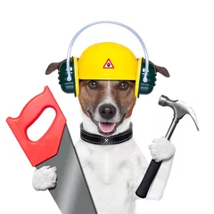 Cercles muraux Chien fou handyman dog