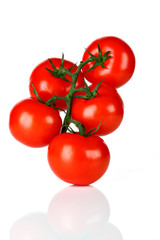 Frische Tomaten mit Spiegelung