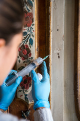 Rastaurando la parete