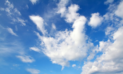 Obraz premium blue sky with white could