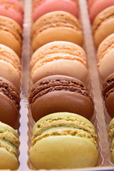 colorful macaroon