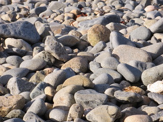 pebble beach closeup