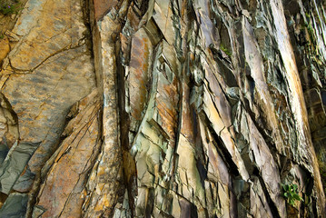 Detail of the rock