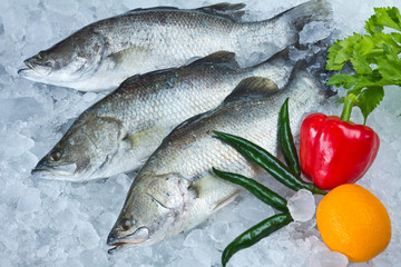Fresh Seabass and vegetables chilled on ice