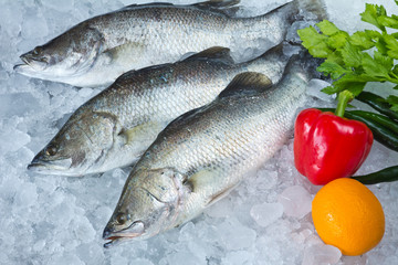 Fresh Seabass chilled on ice - 46937035