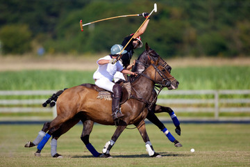 joueur de polo &agrave; cheval