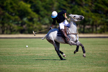 joueur de polo à cheval