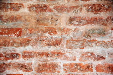 Background & Texture