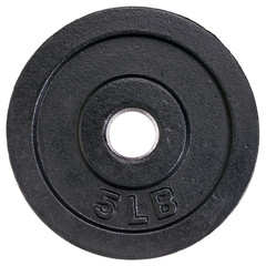 dumbbell plate