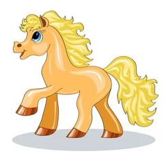 Selbstklebende Fototapete Pony kleines Pony