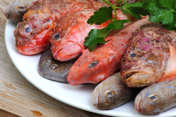 mediterranean fresh fishes on rustic wood background