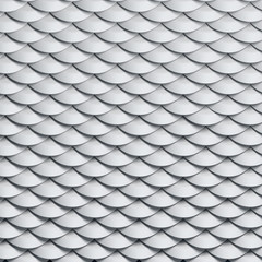 scales snake skin texture