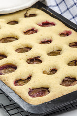 frisch gebackener Pflaumenkuchen auf einem Backblech