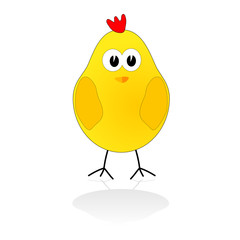 sweet and cute chicken vector illustration