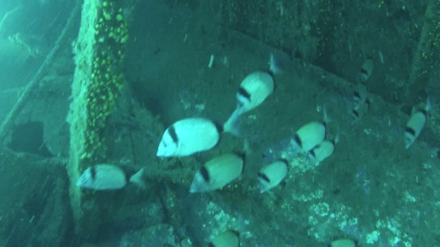 relitto nave nubifragio affondamento