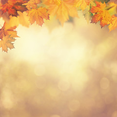Abstract autumnal backgrounds for your design