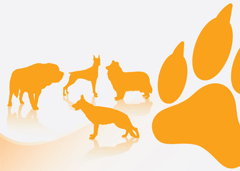 Dog breeds background