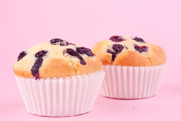 blueberry muffin