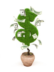 Money tree, potted tree in the form of a dollar sign