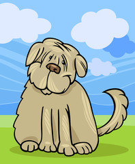 shaggy terrier dog cartoon illustration
