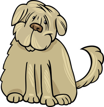 shaggy terrier dog cartoon illustration