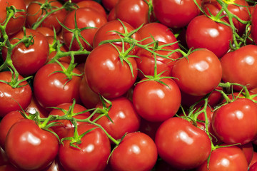 Fresh ripe cherry tomatoes