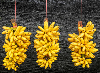 Pisang Mas banana or Musa (AA group) 
