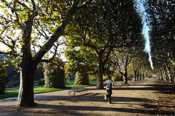 Fototapeta premium jogging au jardin des plantes