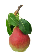 Ripe pear