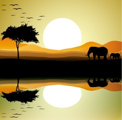 Plakat sylwetka uroda słoni w tle krajobrazu