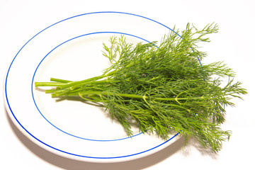 Dill (fennel)