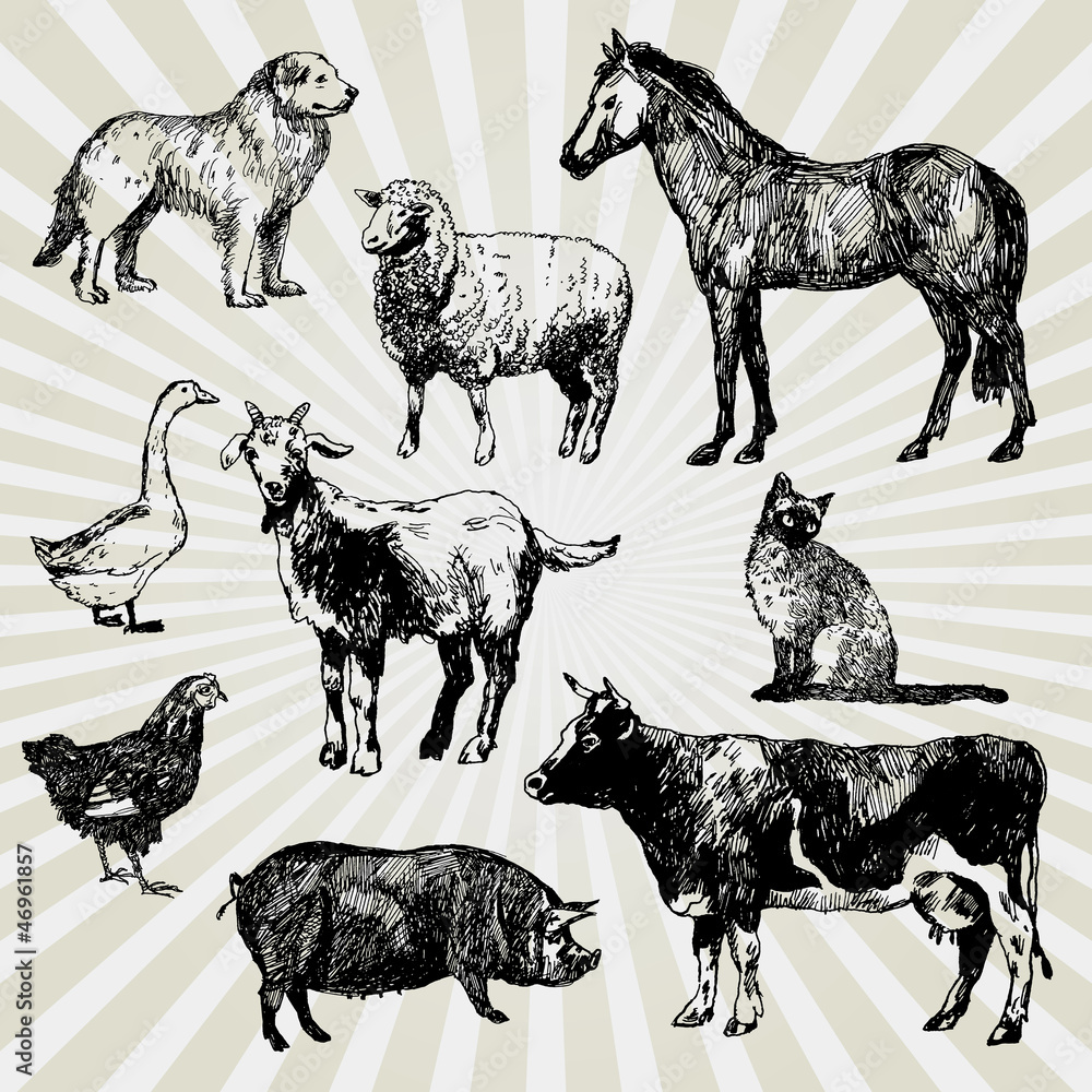 Wall mural home animals