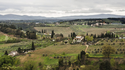 Chianti