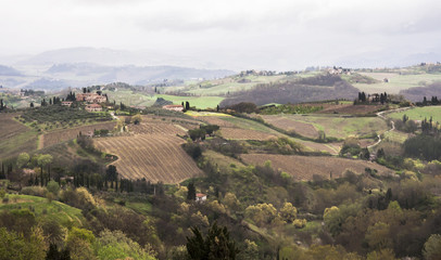 Naklejka premium Chianti