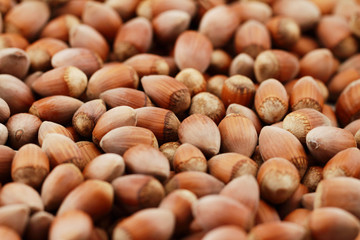 Tasty hazelnuts, close up