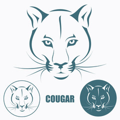Obraz premium Cougar head