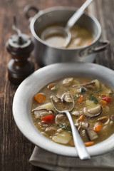 Mushroom soup