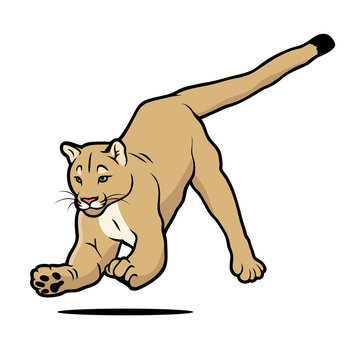 Cartoon Cougar