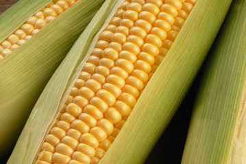 corn cob