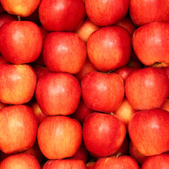 Group of red apples