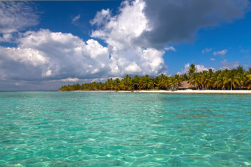 Beautiful caribbean beach on Saona island