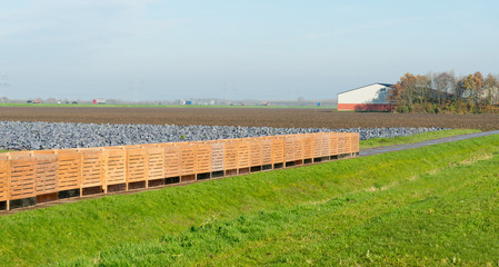 Crates waiting to be filled