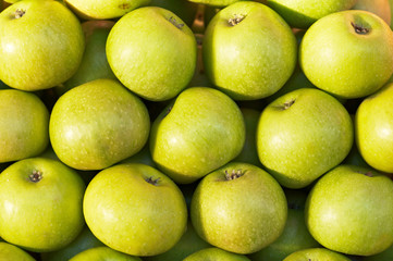 Lots of Green ripe apples background